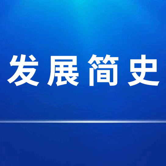 j9九游会 - 真人游戏第一品牌发展简史